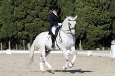 Portugal-Alentejo / Blue Coast-Monte Velho Dressage Clinics